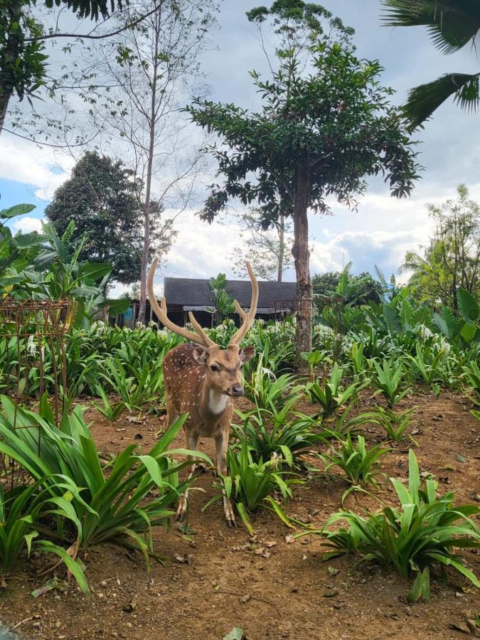 Villa Vimala Hills Semeru ボゴール エクステリア 写真