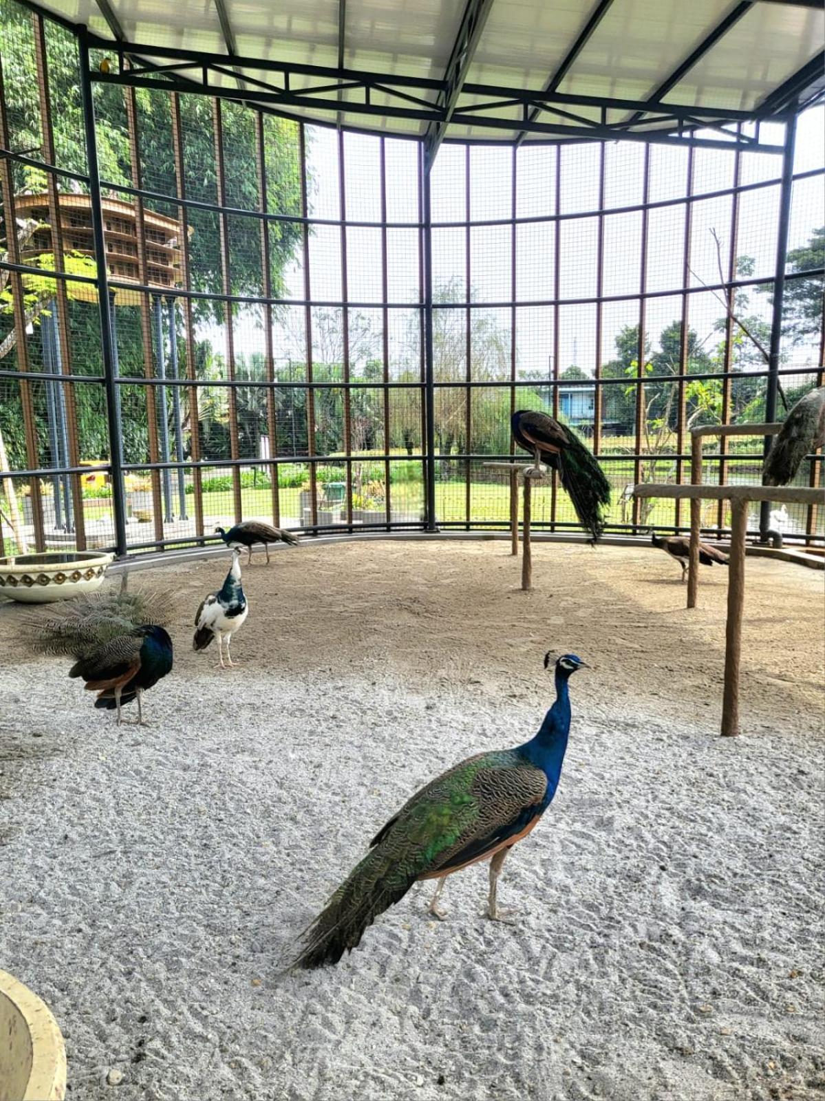 Villa Vimala Hills Semeru ボゴール エクステリア 写真